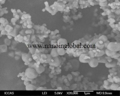 纳米钼粉 40nm 99.9% 的图片