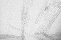 钛酸纳米管的图片