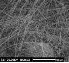 进口氮化硼纳米管的图片
