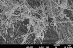 氧化钛-A纳米纤维的图片