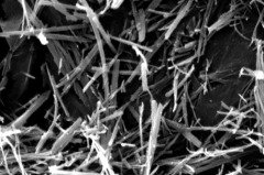 钛酸纳米纤维的图片