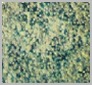 纳米碳酸钙的图片