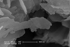 纳米羟基磷灰石的图片