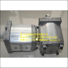 阿托斯PFG-218-D齿轮泵精工 中国阿托斯经销商