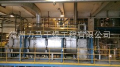 玉米淀粉糖废水喷雾干燥器LPG-4000的图片