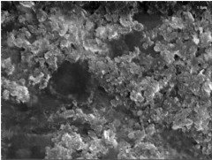六方氮化硼纳米片的图片