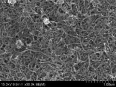 碳纳米管干粉的图片