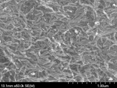 多壁碳纳米管S-MWNT-1020的图片