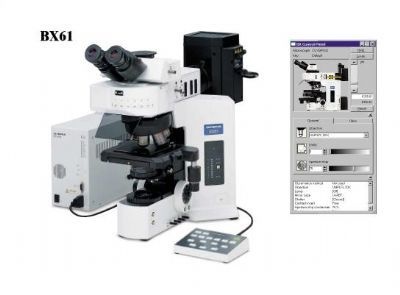 研究级全电动系统正置式金相显微镜BX61的图片