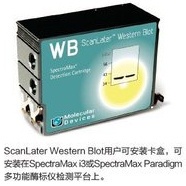 ScanLater Western Blot检测系统的图片