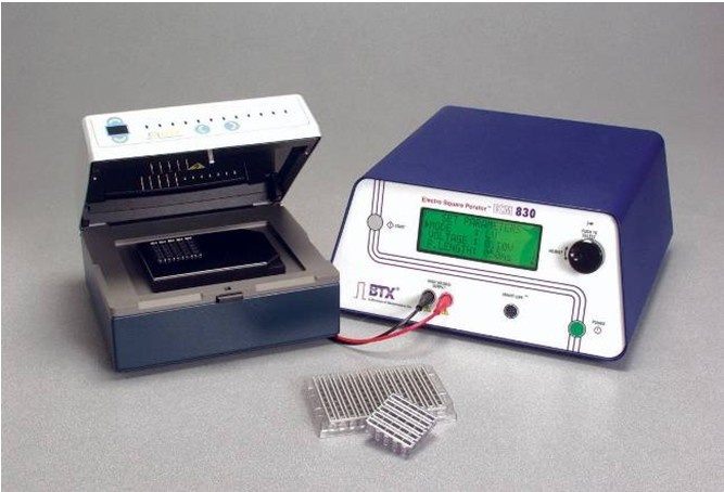 BTX高通量电穿孔系统的图片