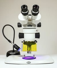 NIGHTSEA显微镜荧光适配器的图片