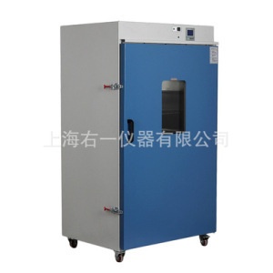 300度DHG-9925A立式大型實(shí)驗(yàn)室恒溫鼓風(fēng)干燥箱