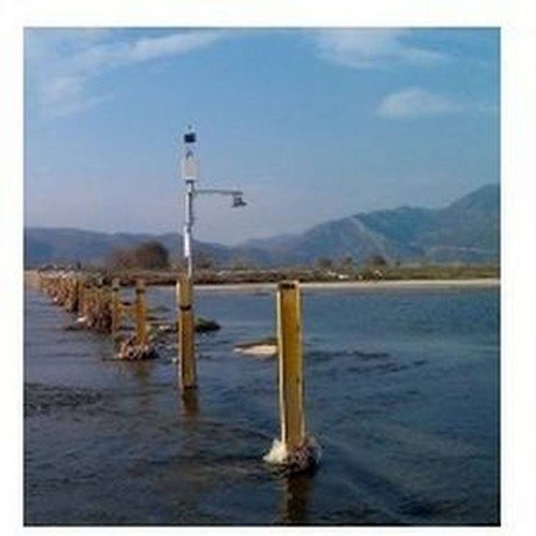 在线水位监测系统：A755 WL的图片
