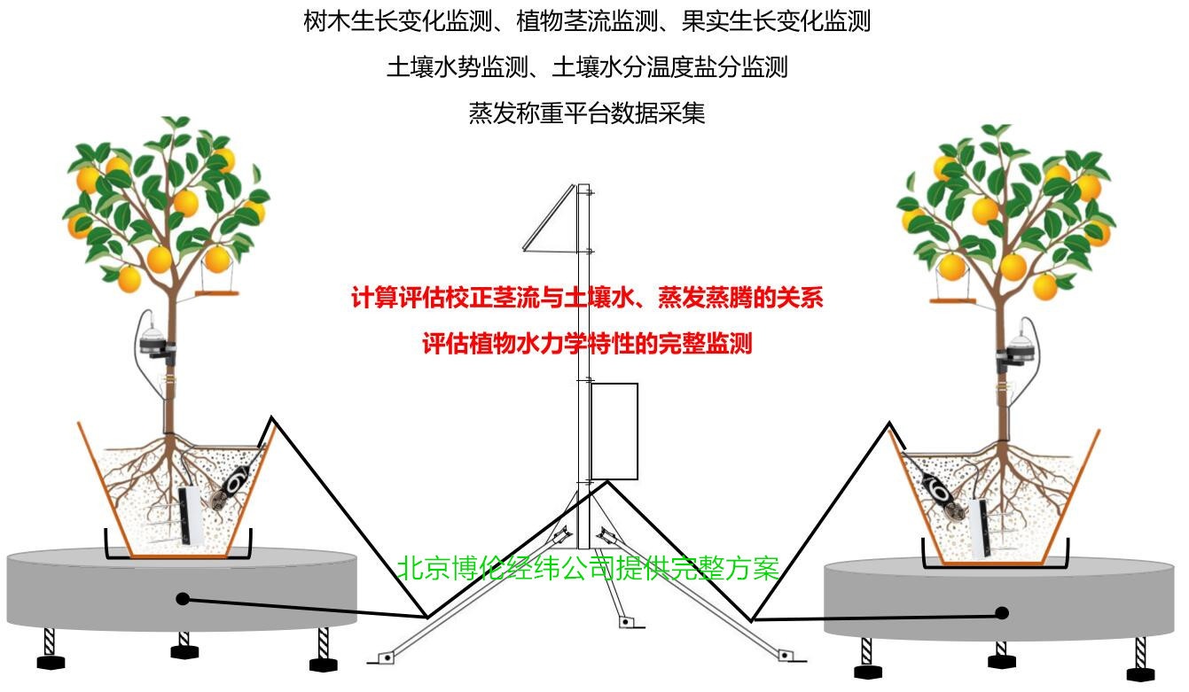 蒸发称重测量平台DL300-WP20ET的图片