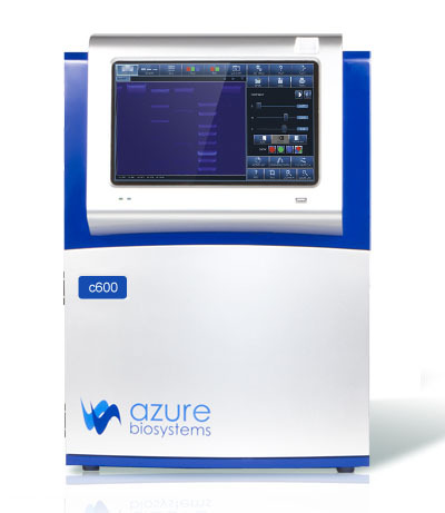 Azure Biosystems C600多功能分子成像系统的图片
