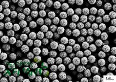 氨基化磁性微球的图片
