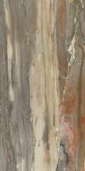 虹木石玉 Petrified Wood的图片