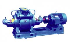 SZ系列水环真空泵及压缩机的图片