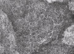 碳纳米管干粉的图片