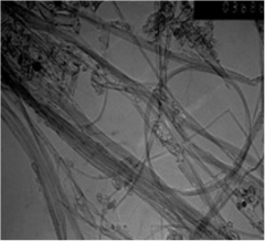 双壁碳纳米管KY TND DWCNTs, 纯度+60%的图片