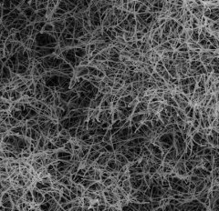 碳纳米管海绵 多孔骨架储能用，吸附、过滤环境处理CNTs粉体