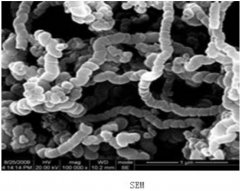 螺旋状多壁碳纳米管 功能型多壁碳纳米管CNTs科研用的图片