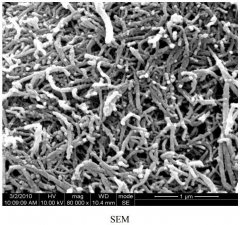 石墨化多壁碳纳米管纯度99.5%CNTs粉体的图片
