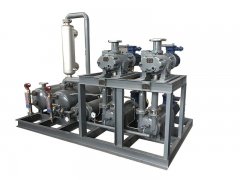 罗茨泵水环真空泵机组的图片