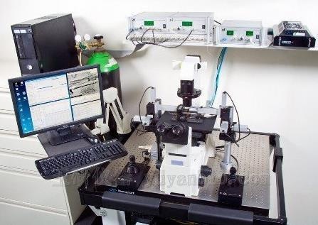 Aurora Scientific肌肉力学测试系统1205A的图片
