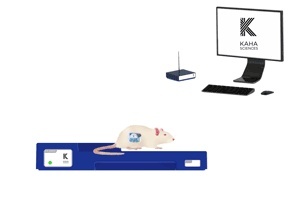 大鼠血壓、生物電遙測系統(tǒng)