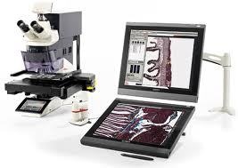 Leica LMD7000激光显微切割系统的图片