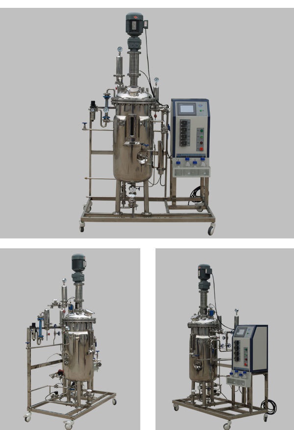 FC-ZN-100L智能型液体发酵罐的图片