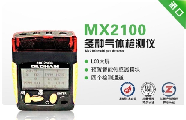 MX2100多种气体检测仪的图片