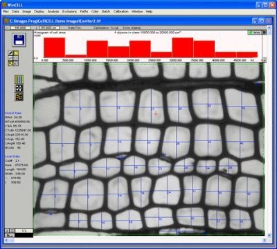Wincell木细胞分析系统的图片