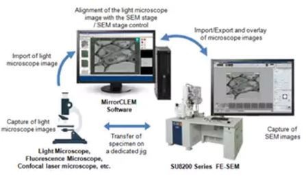光-电联用显微镜法（CLEM）系统的图片