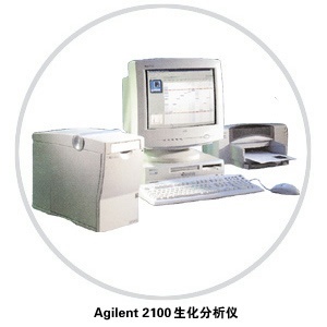 Agilent 2100生物芯片分析系统的图片