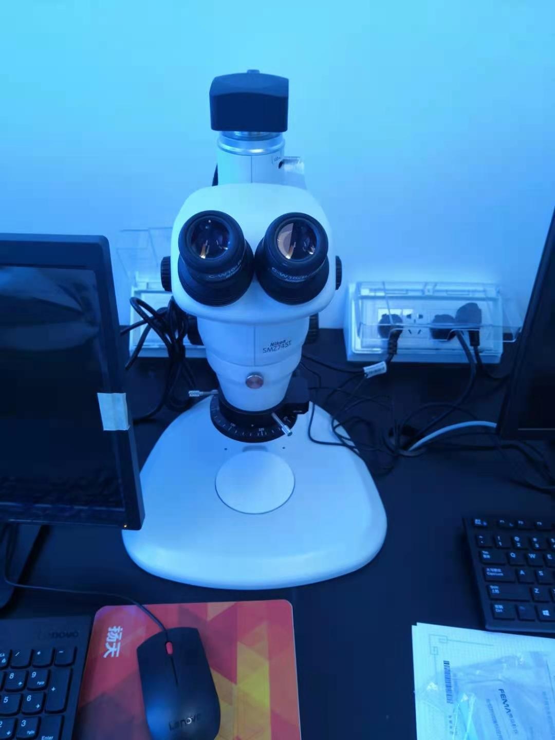 尼康体视显微镜的图片