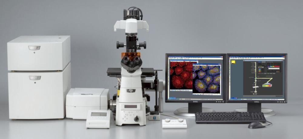 尼康A1+激光共聚焦显微镜的图片