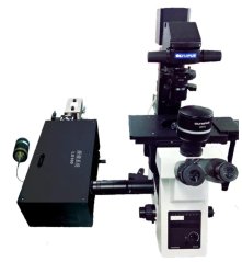 激光扫描荧光寿命（强度）成像系统的图片