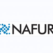 NAFUR无机锌离子抗菌防霉剂的图片