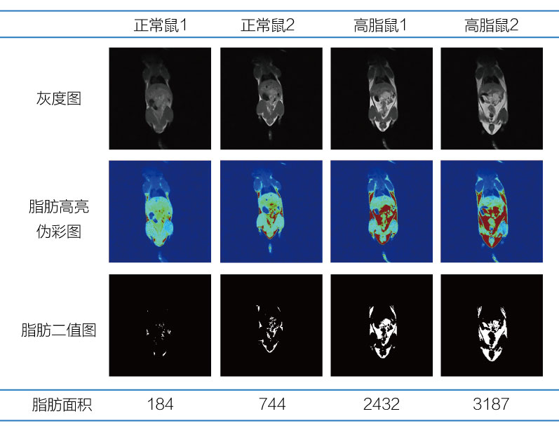 活体体成分2