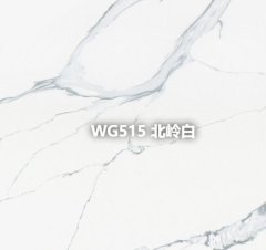 WG515 北岭白的图片