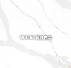 WG466 鱼肚白金的图片