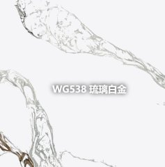 WG538 琉璃白金的图片
