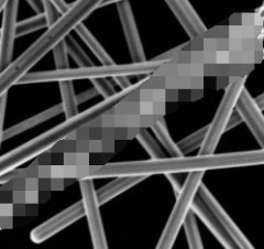 60纳米直径银纳米线的图片