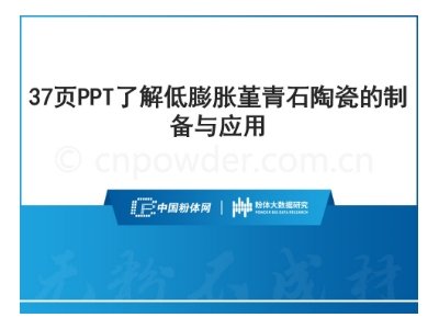 37ҳPPT˽ʯմɵƱӦ