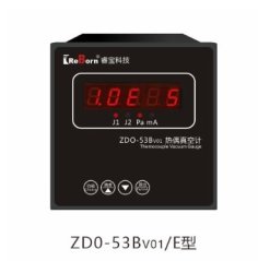 ZD0-53BV01真空计的图片