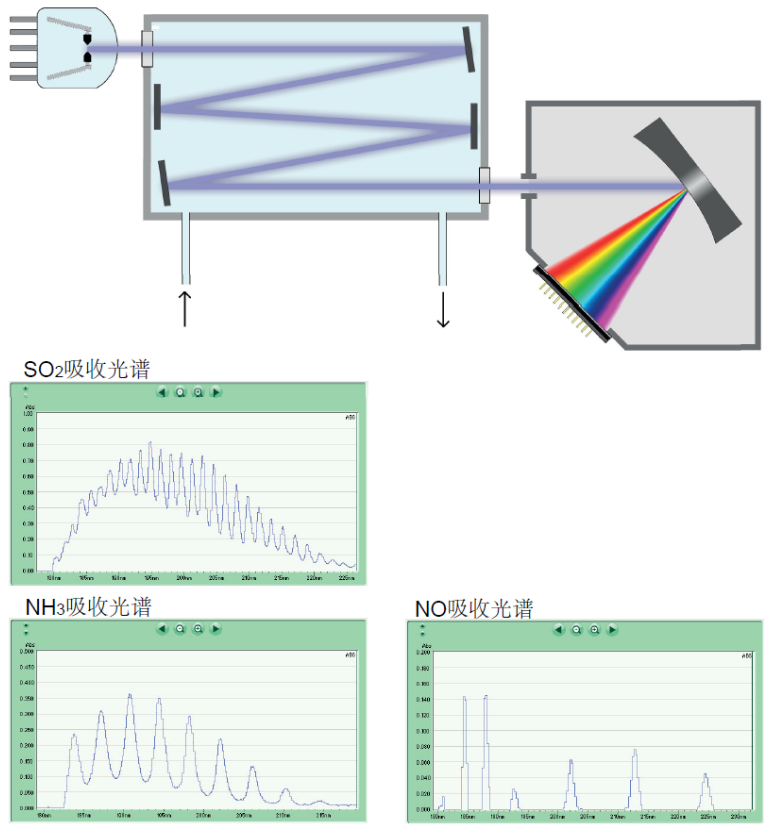 NH5000在線式氨氣分析儀