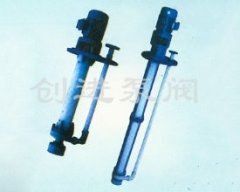 FYS型耐腐蚀液下泵的图片